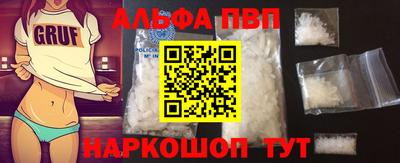 молекула духа Кингисепп