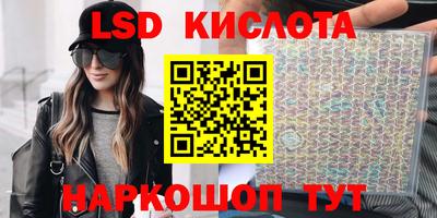 молекула духа Кингисепп