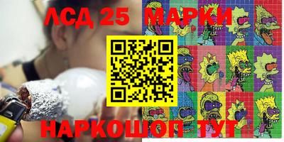молекула духа Кингисепп