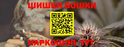 молекула духа Кингисепп
