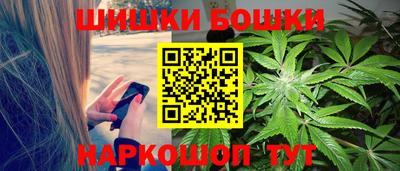 молекула духа Кингисепп