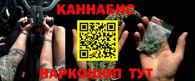 молекула духа Кингисепп