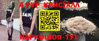 молекула духа Кингисепп