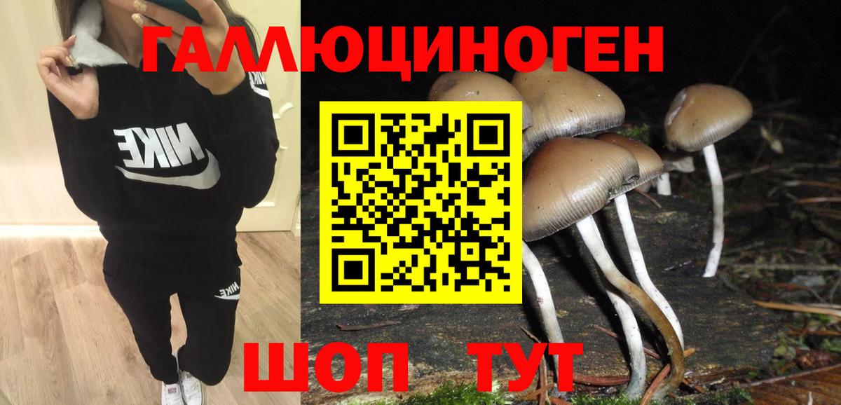 Галлюциногенные грибы Cubensis  Вход с VPN  Армавир 