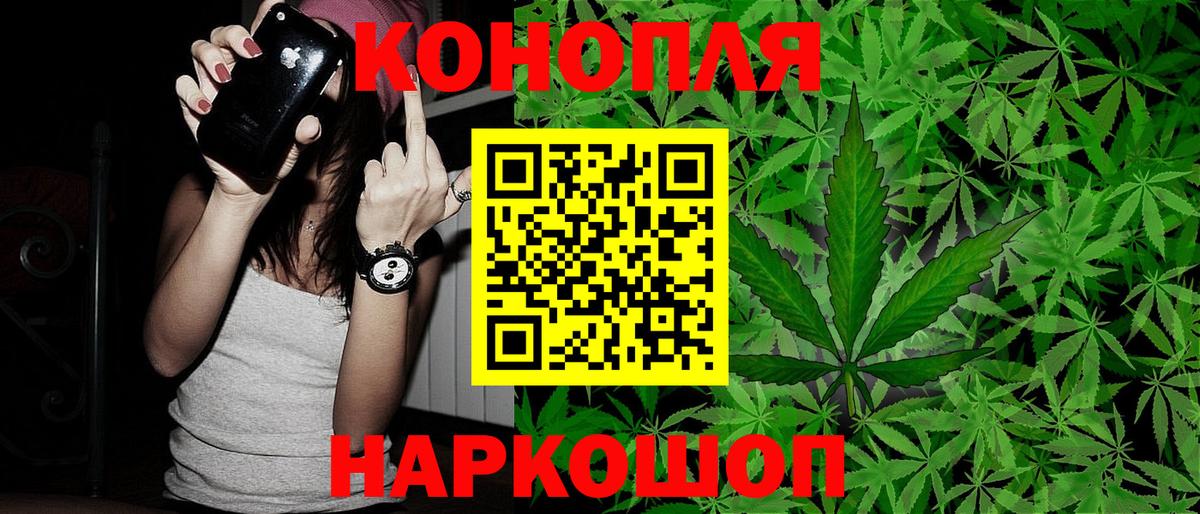 Бошки Шишки сатива Армавир